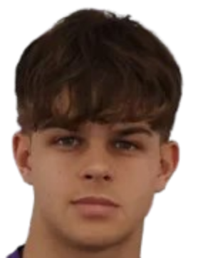 帕特里克·杜尔恰