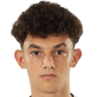 丹尼斯·斯特凡