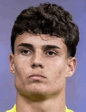 Vitor Lamounier Rego