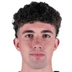 雨果·布尔西奥