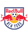 纽约红牛
